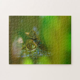 Krokodil in Guyana. Puzzle