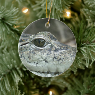 Krokodil-Lächeln-Ornament Keramikornament