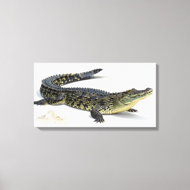 Krokodil Leinwanddruck (Vorderseite)