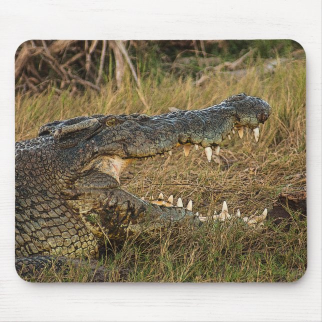 Krokodil Mousepad (Vorne)