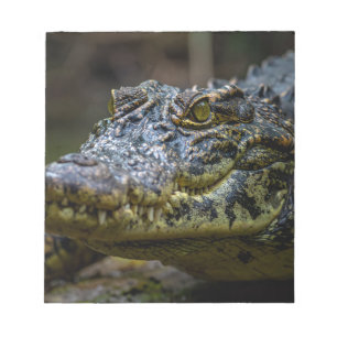 Krokodil Notizblock