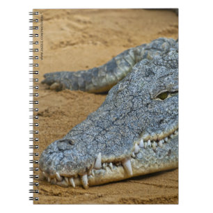 Krokodil Notizblock
