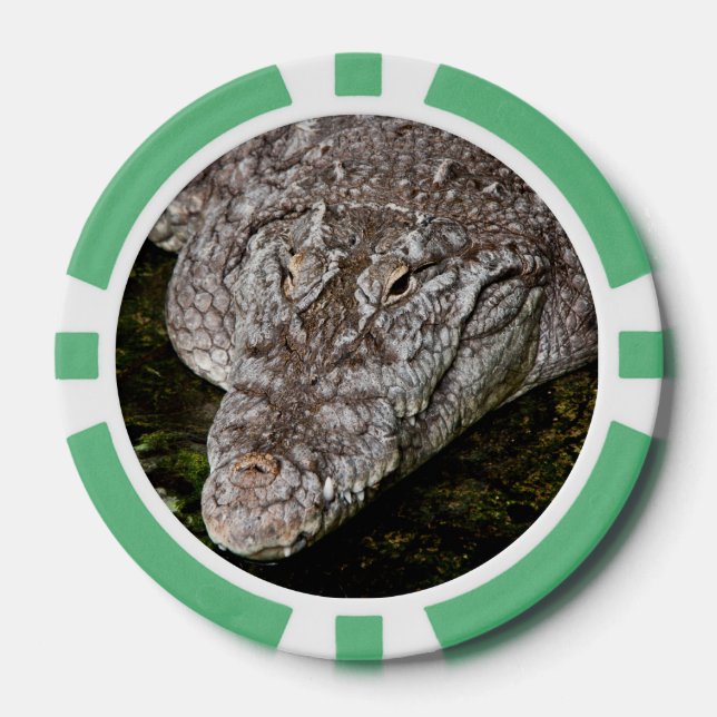 Krokodil Pokerchips (Vorderseite)