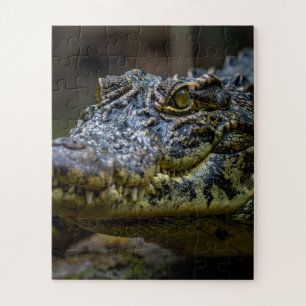 Krokodil Puzzle