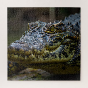 Krokodil Puzzle