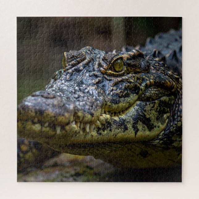 Krokodil Puzzle (Vertikal)