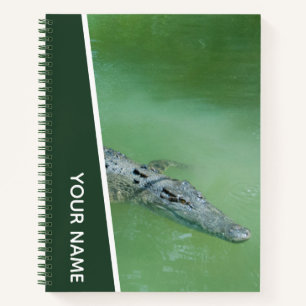 Krokodil schwimmt in Australien, Grün Notizbuch