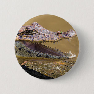 Krokodil-Smahlgang in Tortuguero - Costa Rica Button