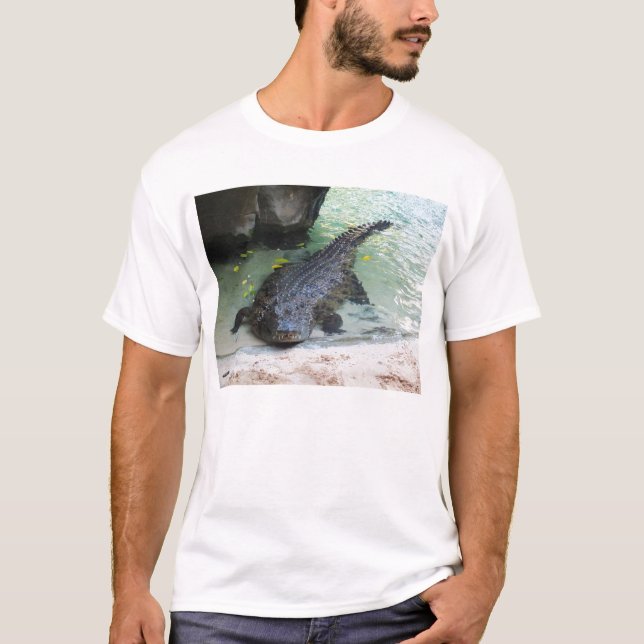 Krokodil T-Shirt (Vorderseite)