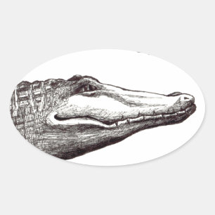 Krokodilalligatorin Libellen zeichnend Kunst Ovaler Aufkleber