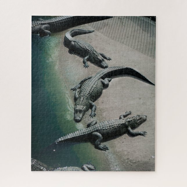 Krokodile auf einem Riverbank Puzzle (Vertikal)