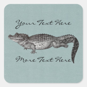 Krokodile-Aufkleber Quadratischer Aufkleber