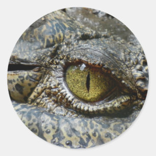 Krokodile-Augen-Gesicht Tier personalisieren Gaume Runder Aufkleber