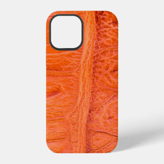 Krokodile Bauchhautstruktur Hintergrund. Dieses Bi iPhone 12 Hülle