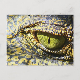 Krokodile Eye Postkarte