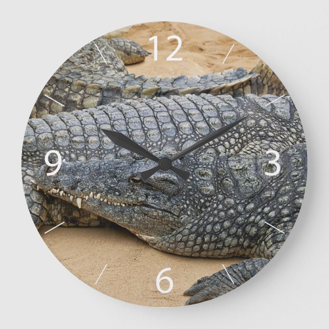 Krokodile Große Wanduhr (Vorderseite)