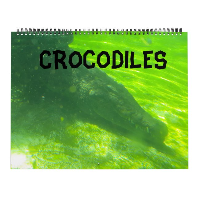 Krokodile  kalender (Titelbild)