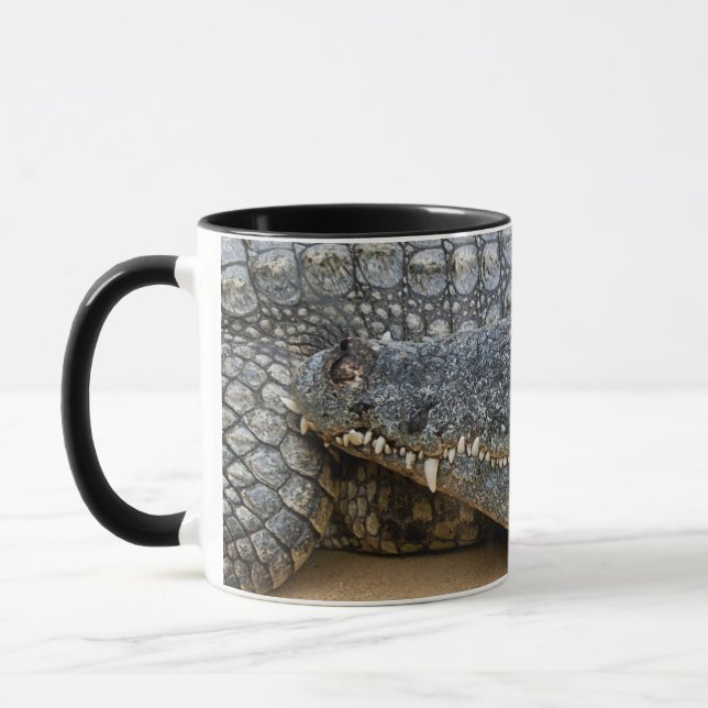 Krokodile Mug Tasse (Links)