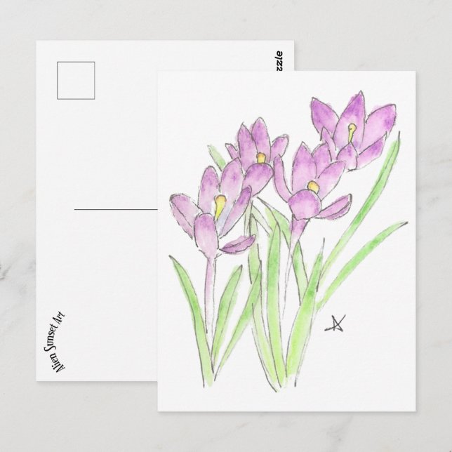 Krokodile Postkarte (Vorne/Hinten)