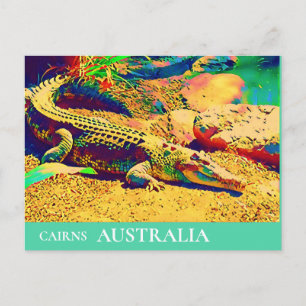Krokodile Reptil Queensland Australien Reise Postkarte