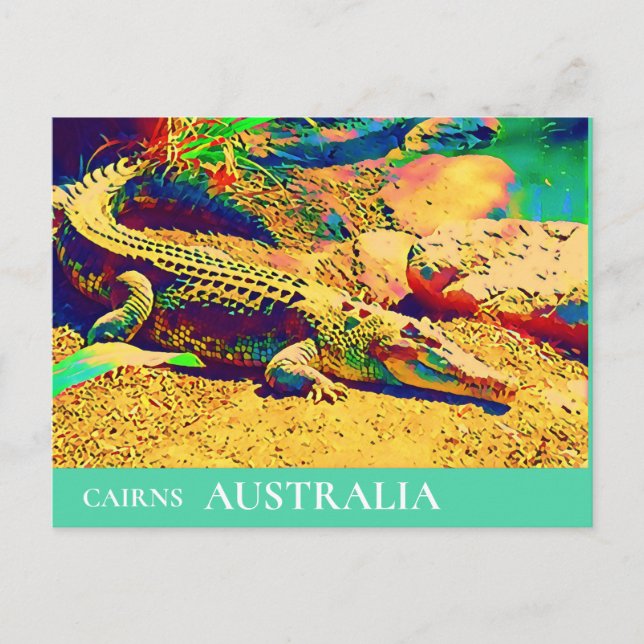 Krokodile Reptil Queensland Australien Reise Postkarte (Vorderseite)