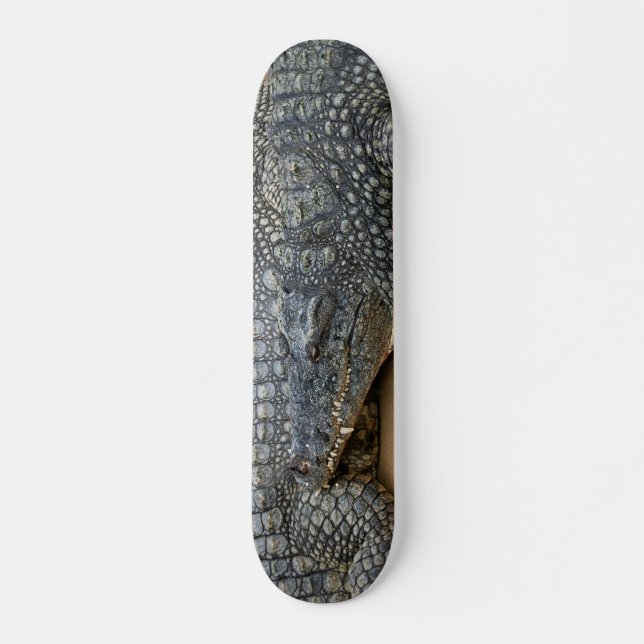 Krokodile Skateboard (Vorne)