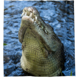 Krokodile Zähne Wasser Duschvorhang