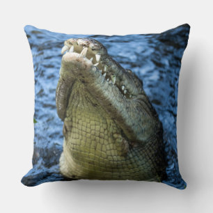 Krokodile Zähne Wasser Kissen