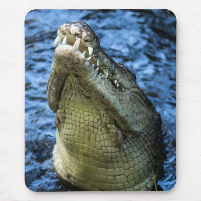 Krokodile Zähne Wasser Mousepad (Vorne)