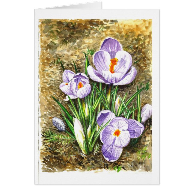 Krokus im Frühjahr (Vorne)