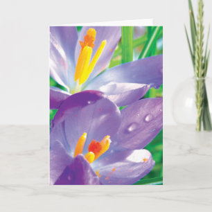 Krokus mit farbenfroher Blume-Poesie Karte