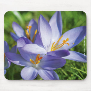 Krokus Mousepad