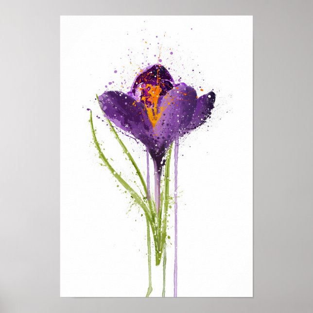 Krokus Poster (Vorne)