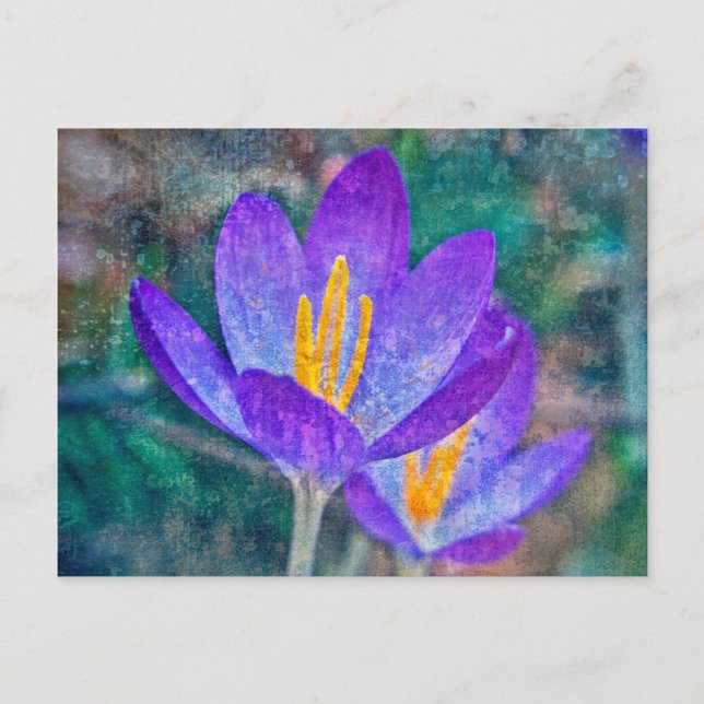 Krokus Postkarte (Vorderseite)