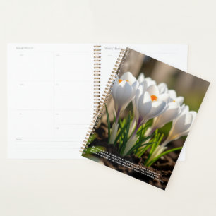 Krokus-Symbolik-Kalender Planer