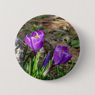 Krokusse im Blüten-Knopf Button