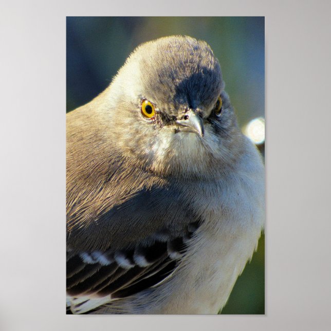 Krone Poster (Vorne)