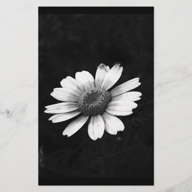 Kronechrysantheme Briefpapier (Vorderseite)