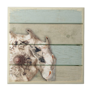 Kronen-Tritonshorn Fliese