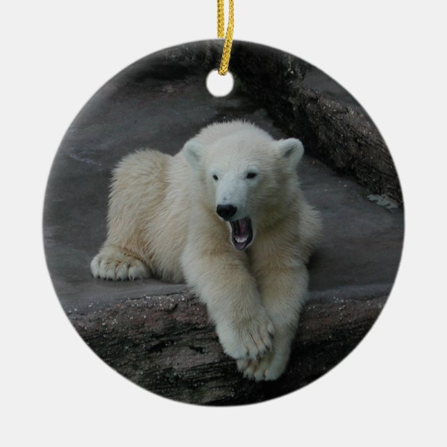 Krönend Polar Bärenkuppe Keramikornament (Vorne)