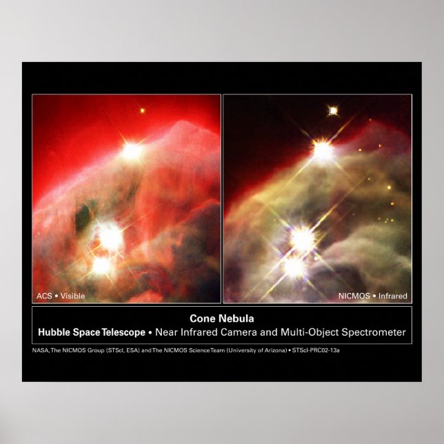 Kronennebel NGC 2264 Hubble Visible vs. Infrarot Poster (Vorne)