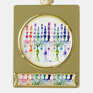 Kronenzellen Stammzellen und bipolare Neuronen der Banner-Ornament Gold