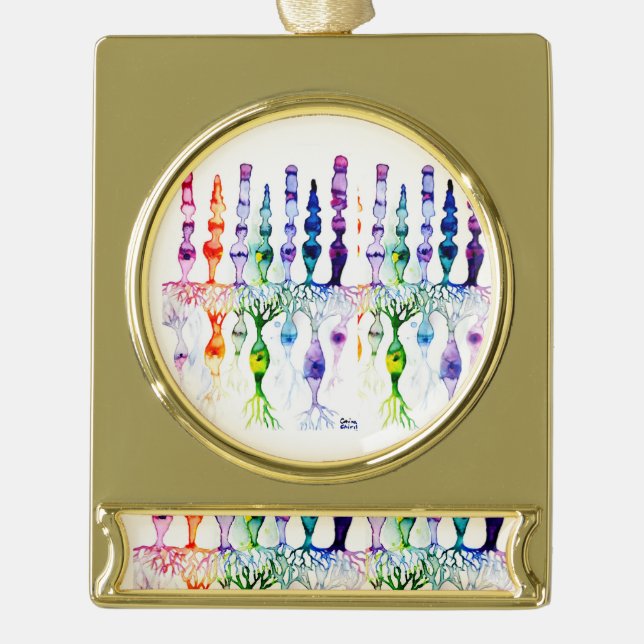 Kronenzellen Stammzellen und bipolare Neuronen der Banner-Ornament Gold (Vorderseite)