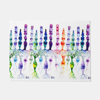 Kronenzellen Stammzellen und bipolares Netzhaut Fußmatte