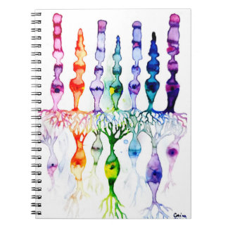 Kronenzellen Stammzellen und bipolares Netzhautneu Notizblock