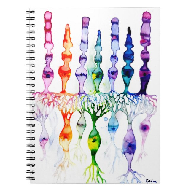 Kronenzellen Stammzellen und bipolares Netzhautneu Notizblock (Vorderseite)