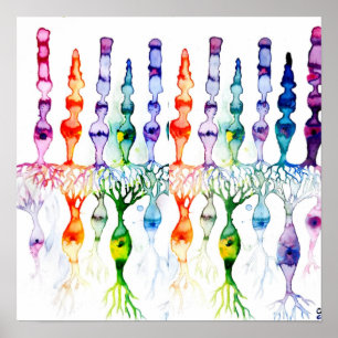 Kronenzellen Stammzellen und bipolares Netzhautneu Poster