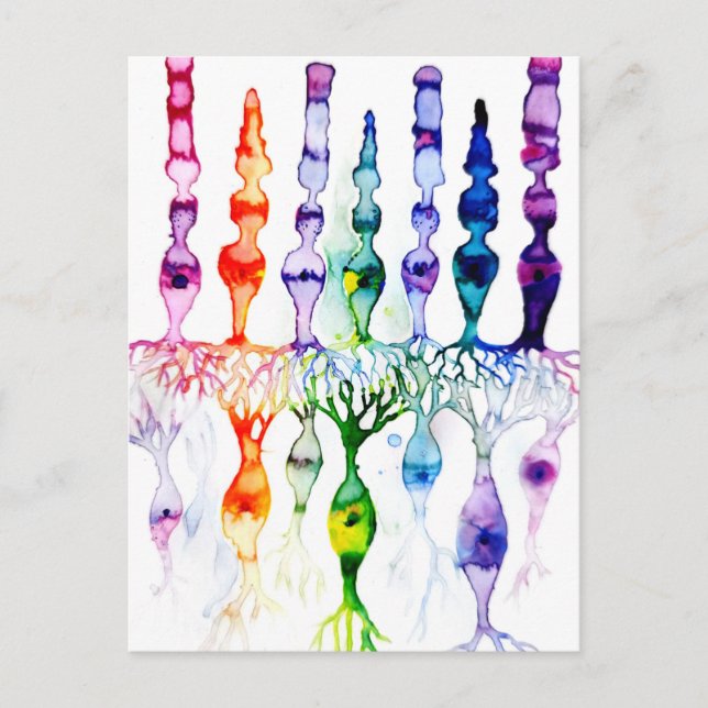 Kronenzellen Stammzellen und bipolares Netzhautneu Postkarte (Vorderseite)