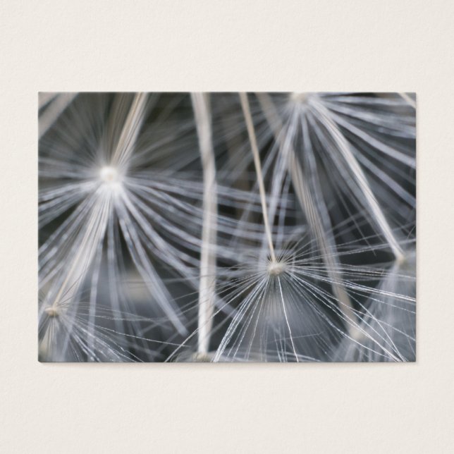 Kronleuchter (Vorderseite)