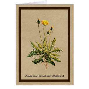 Kronleuchter auf altem Papier